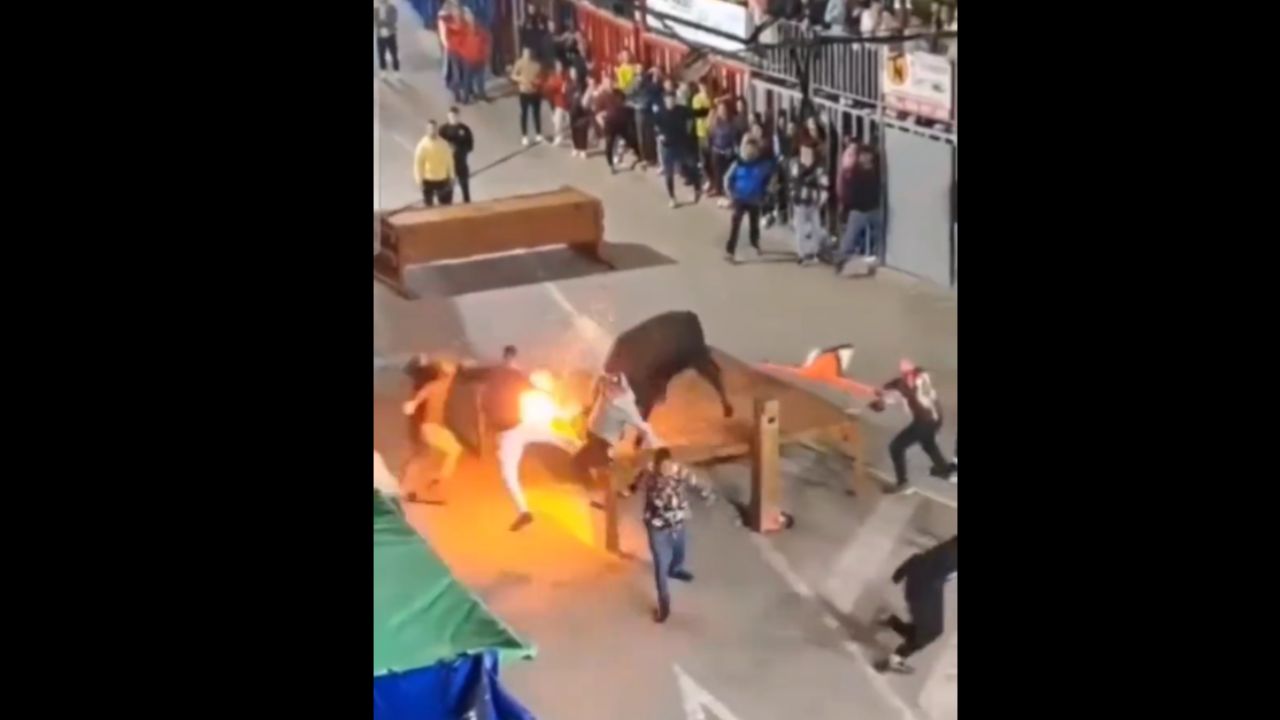 Disturbing video shows bull's horn set on fire: An act of inhumanity
