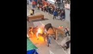 Disturbing video shows bull's horn set on fire: An act of inhumanity