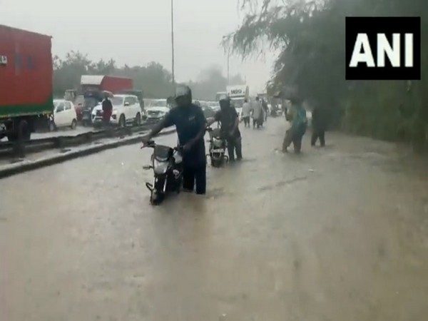 Delhi-Gurugram expressway waterlogged after heavy downpour, traffic jam for up to 5 km