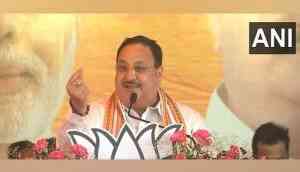 'Whole world praises PM Modi but Congress calls him...,' BJP president JP Nadda