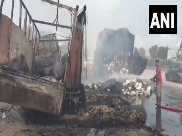 Trucks Collision in Jaipur: Five people, several cattle burnt alive 