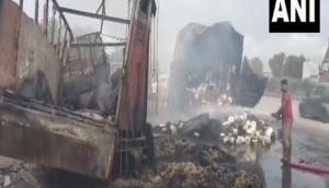 Trucks Collision in Jaipur: Five people, several cattle burnt alive 