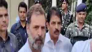 Gujarat High Court denies stay on Rahul Gandhi's conviction in defamation case, upholds Sessions Court order