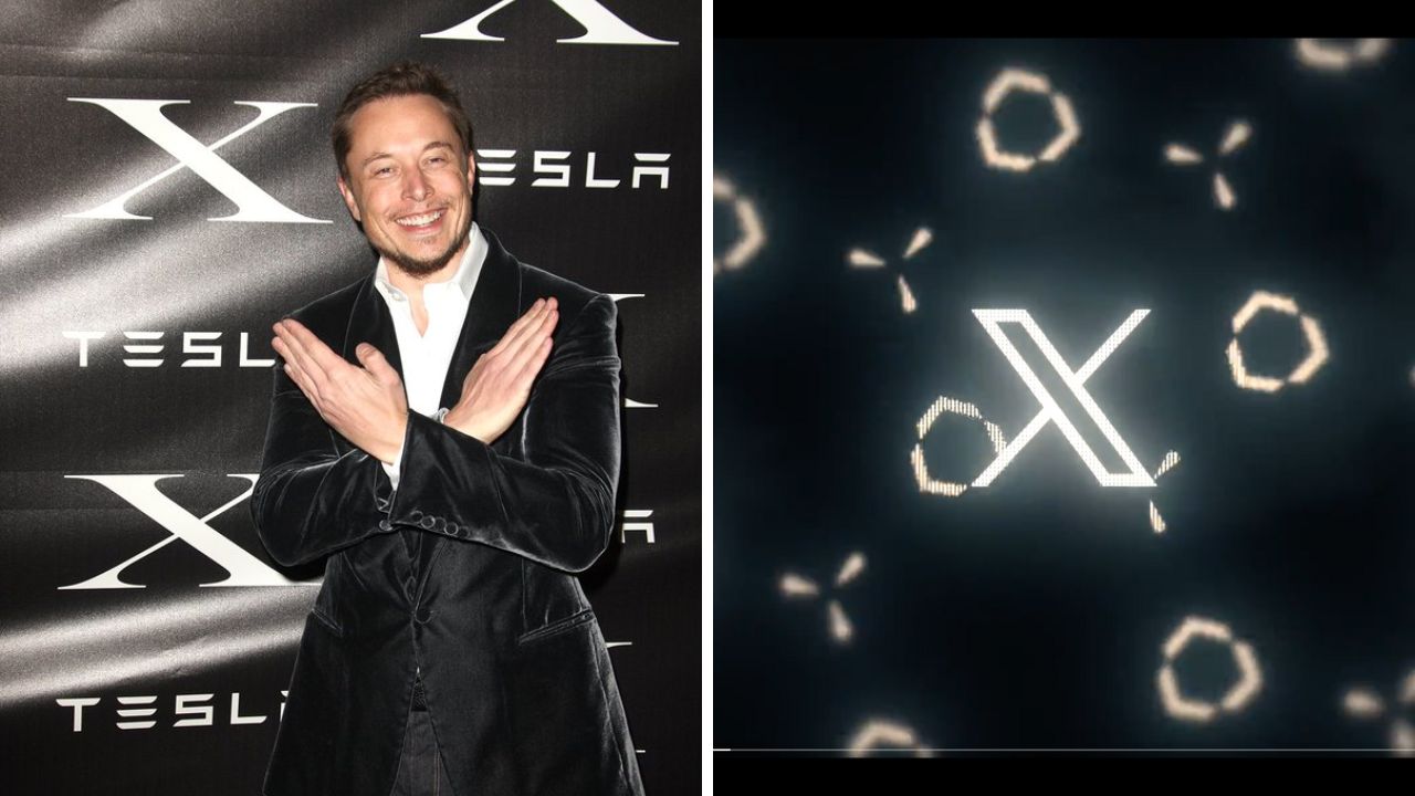 'Soon we shall bid adieu...': Elon Musk on Twitter brand, logo