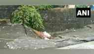 Mumbai Rains: One-way traffic stopped due to road subsidence in Goregaon