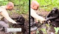 Heartwarming Forest Encounter: Chimpanzee Engages in Gentle Handwashing with Man