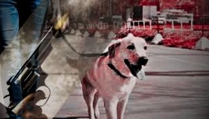 Argument Over Pet Dogs: Man Fires at Neighbours; 2 Killed, 6 Injured in Indore