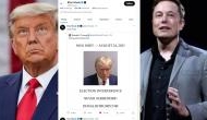 'Next Level': Elon Musk reacts to Donald Trump's comeback on X