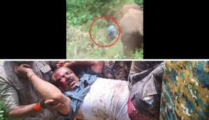 Scary Video: Tranquillizer dart fired at elephant annoys it; 'Aane' Venkatesh dies in attack