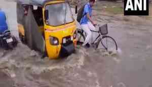 Tamil Nadu: Schools closed for classes 1-5 in Vellore due to heavy rain