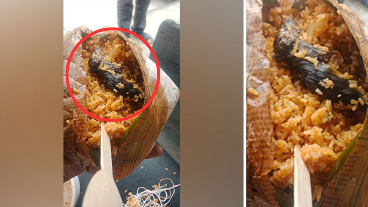 Dead rat found in breakfast served to police personnel amid Bengaluru strike over Cauvery row