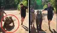 Video: Life lesson from this baby elephant