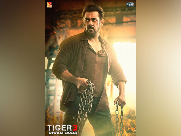 Salman Khan on action in Tiger 3