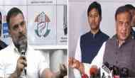 'Poor illiterate fellow': Assam CM Sarma criticises Rahul Gandhi over 'dynasty politics' remark