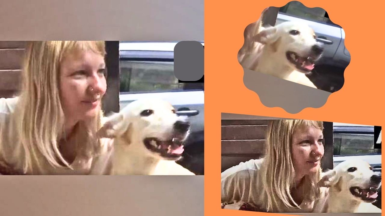 Varanasi: Street dog jaya to fly with Dutch owner; passport, visa ready