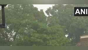 Rain lashes Chandigarh, Srinagar