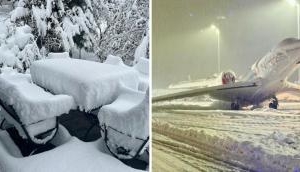 Germany: Over 700 flights cancelled, buses and train services suspended 