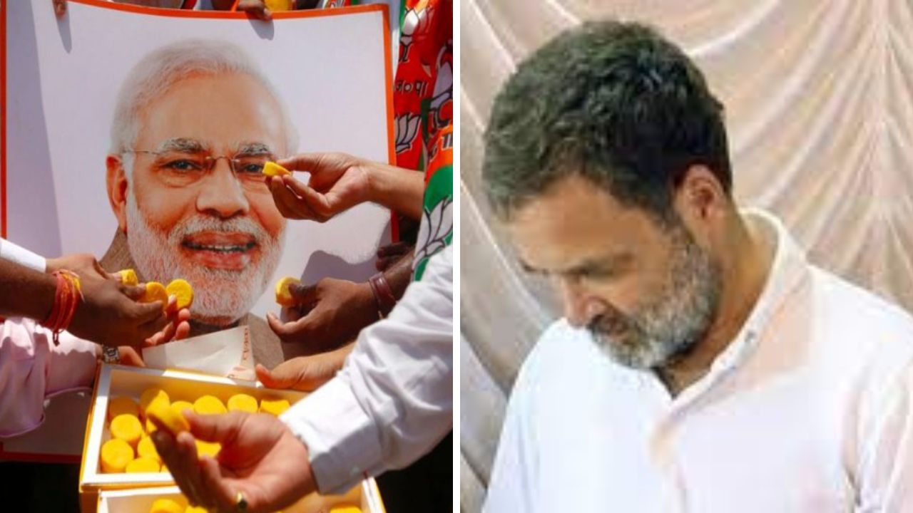 Rahul Gandhi concedes defeat in Hindi heartland states