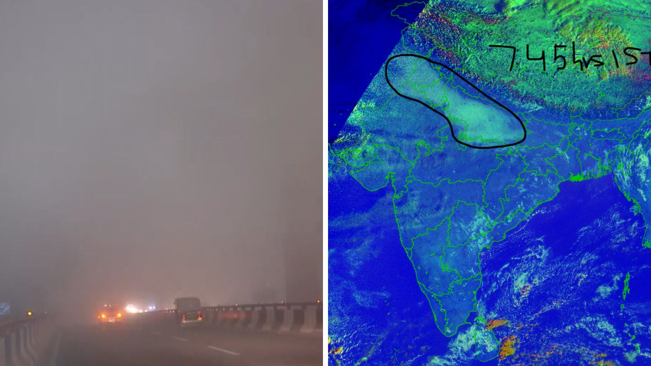 Delhi wakes up to dense fog, low visibility disrupts traffic
