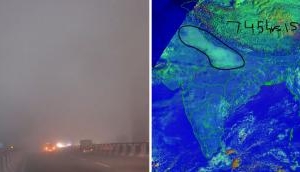 Delhi wakes up to dense fog, low visibility disrupts traffic