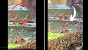 Fans Save Falling Cat with American Flag at Miami Football Game