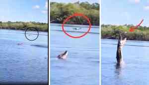 Shocking Video: Crocodile Leaps at Drone, Stuns Viewers!