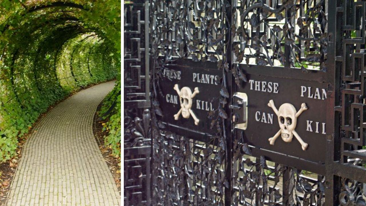 Poison Garden: England's Lethal Enigma