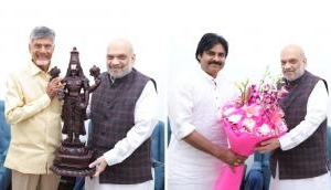 Lok Sabha Polls: Chandrababu Naidu, Pawan Kalyan meet Amit Shah 
