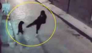 Instant Karma: Man Tries to Kick Stray Dog, Ends Up Flat on the Road