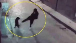 Instant Karma: Man Tries to Kick Stray Dog, Ends Up Flat on the Road