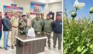Opium farming racket busted in Punjab