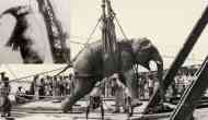 Tragic: Dark chapter in American circus history