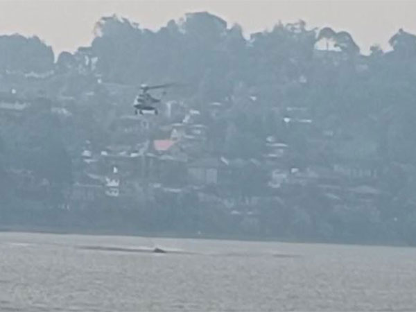 Massive forest fire rages in Nainital, IAF deploys MI-17 choppers 