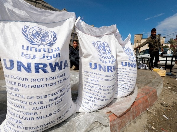 United Nations halts food distribution in Rafah due to lack of supplies, insecurity
