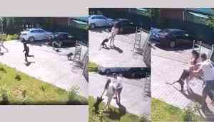 Shocking Video: Monkey Repeatedly Attacks, Tries to Snatch Baby