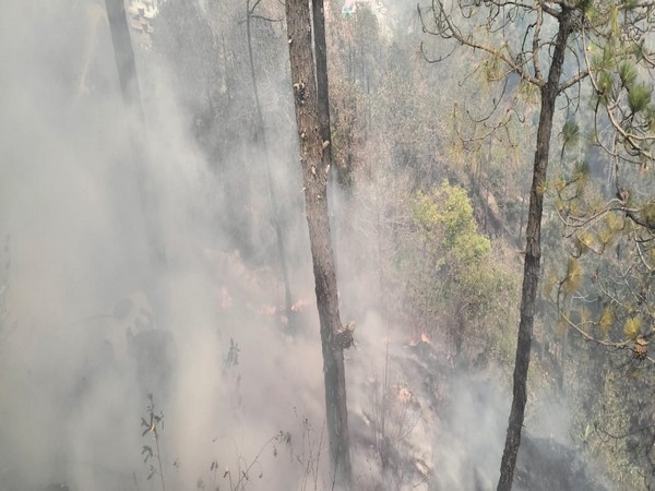 Himachal: Over 1,500 forest fire incidents reported, 13,000 hectares damaged