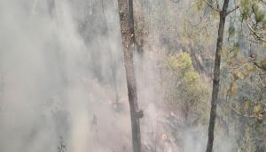 Himachal: Over 1,500 forest fire incidents reported, 13,000 hectares damaged
