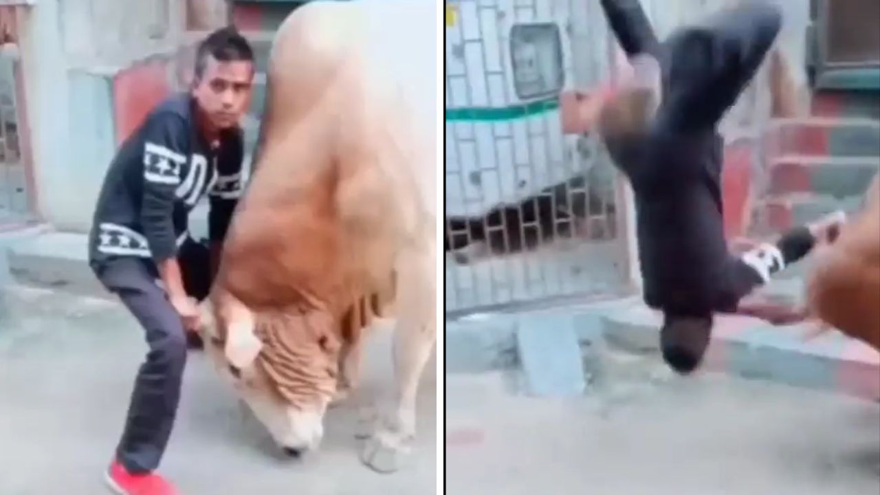 Instant Karma Strikes: Gravity-Defying Lesson!