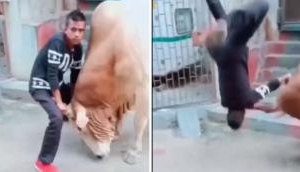 Instant Karma: Man Tries to Hold Bull’s Head Down, Gets an Airborne Lesson!