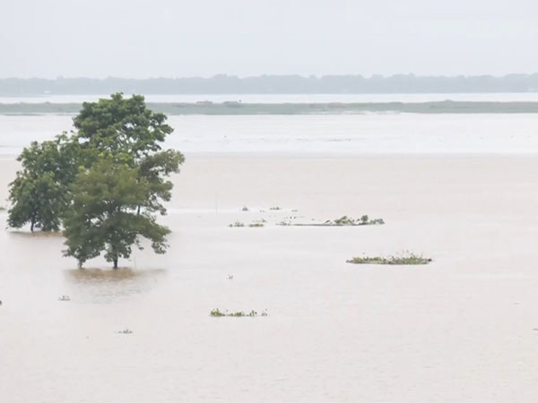 Assam flood death toll stands at 38
