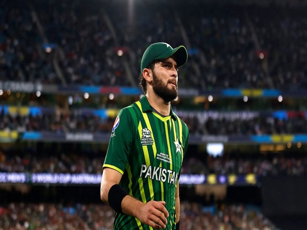 Here's why Pakistan pacer Shaheen Afridi had 'heated argument' with Mohammad Yousuf