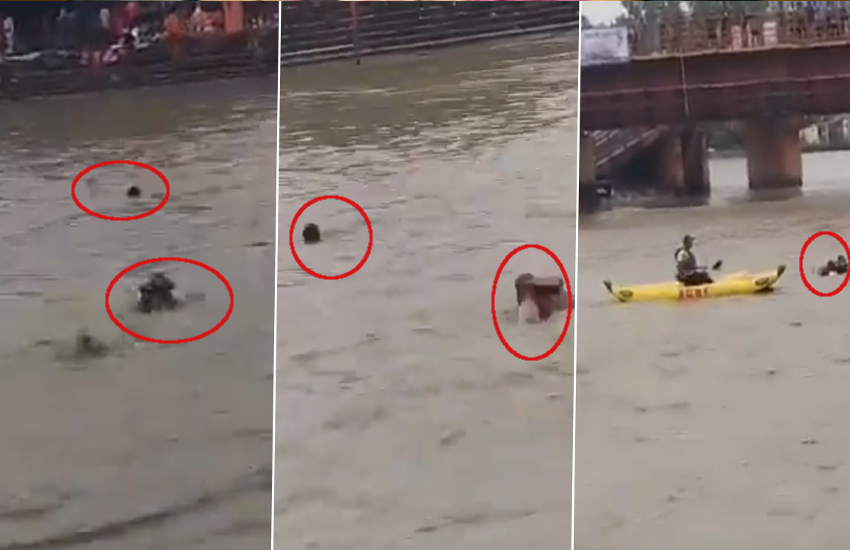 Video: Rescue Teams Save Two Kanwariyas from Drowning