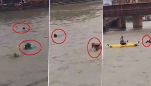 Video: Rescue Teams Save Two Kanwariyas from Drowning