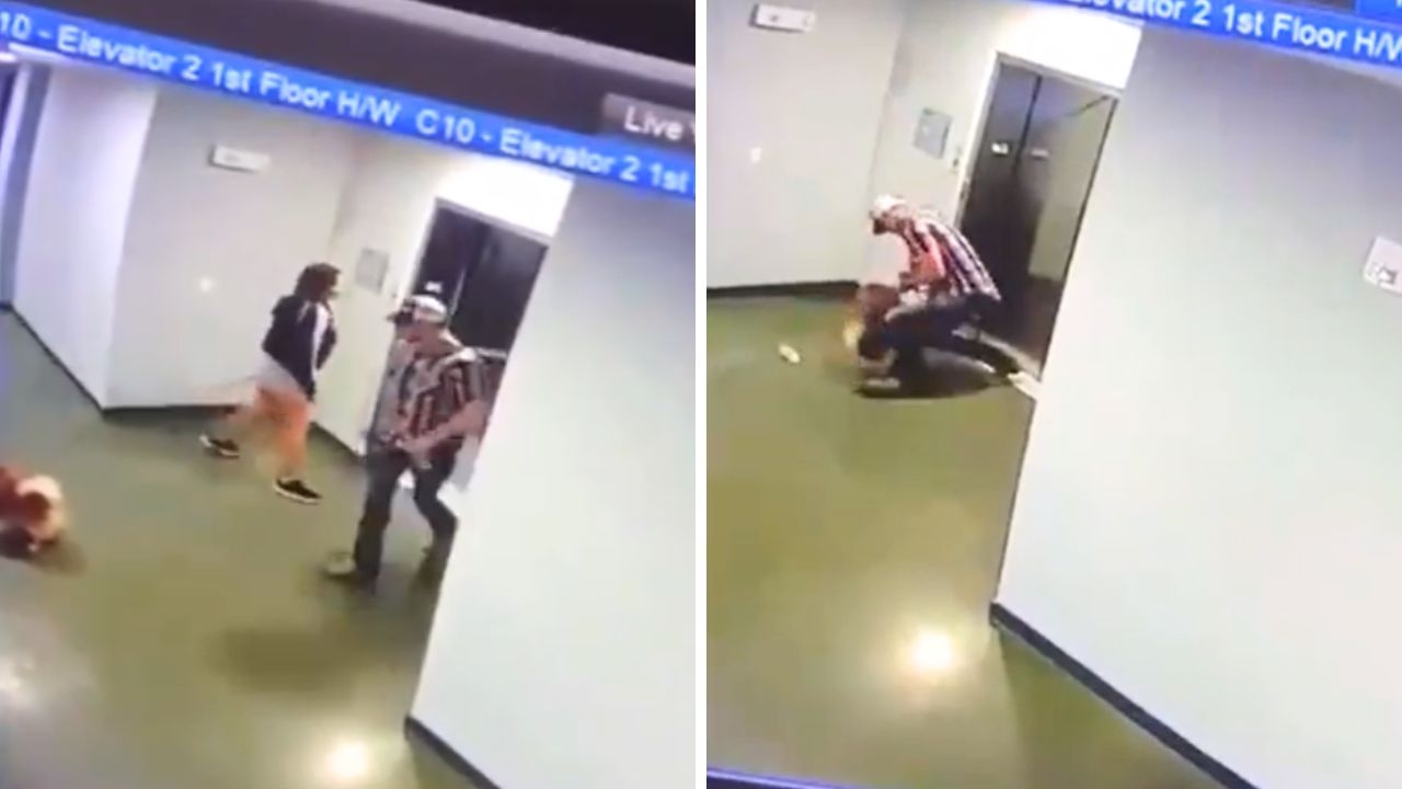 Amazing Video: Quick-Thinking Man Saves Dog from Lift Mishap