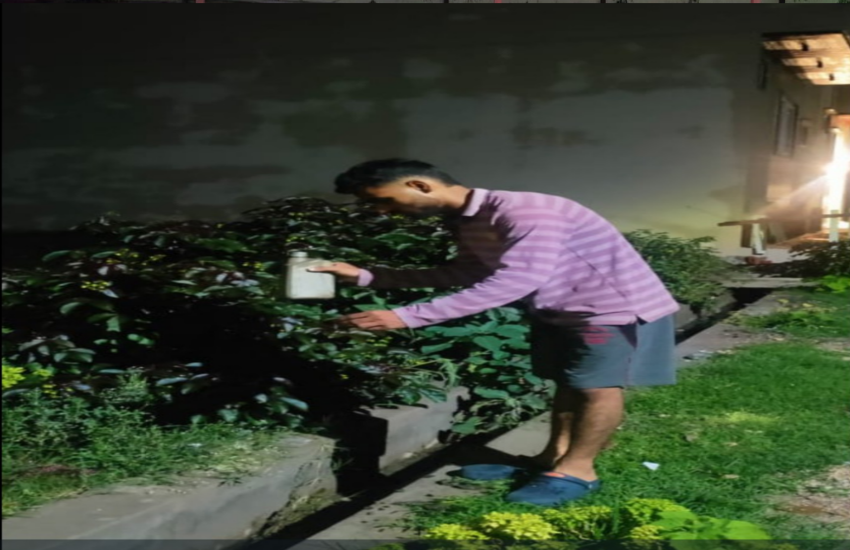 Control Dengue and Malaria With Used Bike Oil