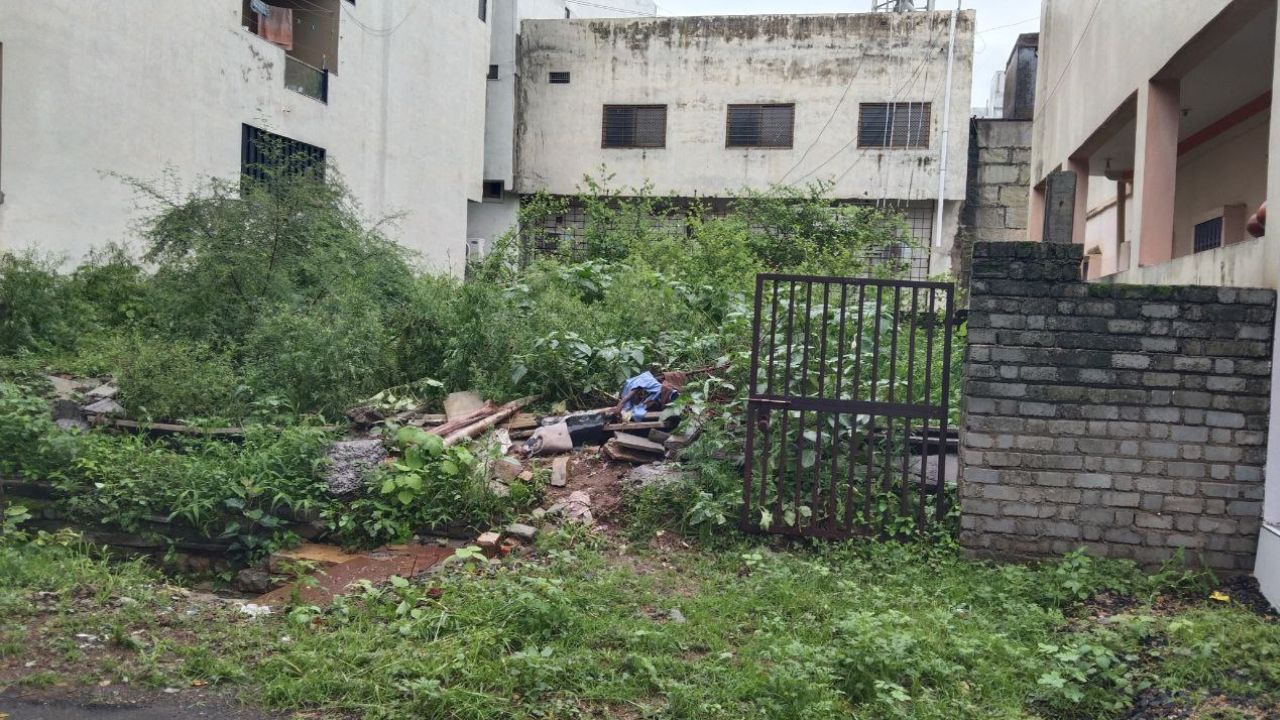 Neemuch: Empty plots in the city becoming breeding grounds for dengue and malaria
