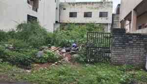 Neemuch: Empty plots in the city becoming breeding grounds for dengue and malaria