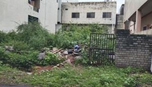 Neemuch: Empty plots in the city becoming breeding grounds for dengue and malaria