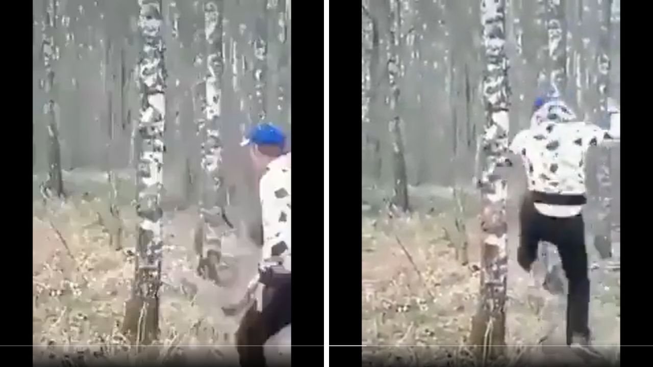 Tree Strikes Back: Man Gets Instant Payback!