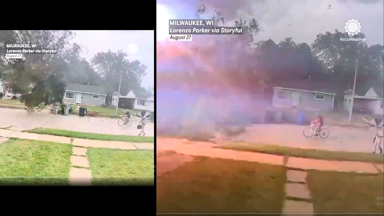 Shocking Video: Bicyclist's Close Brush with Crashing Tree Stuns Viewers